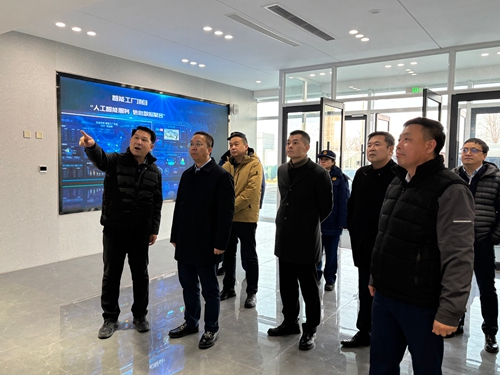 天津经济技术开发区党委书记、管委会主任洪世聪一行赴东纶天津公司安全检查和慰问