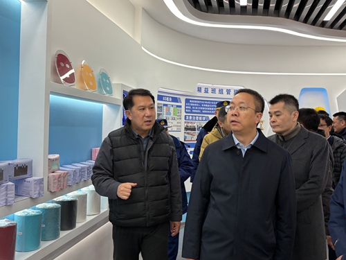天津经济技术开发区党委书记、管委会主任洪世聪一行赴东纶天津公司安全检查和慰问
